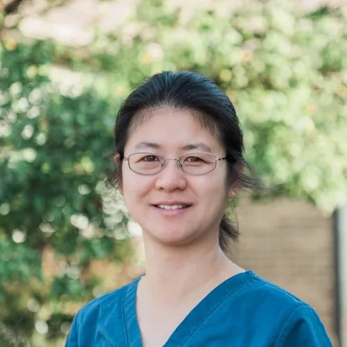 Sandy Ya-Chen Chang, DDS, Dental Care