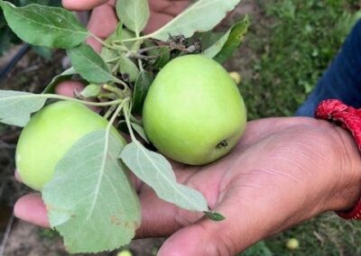 National Rural Health Day: Overcoming Obstacles to Good Health