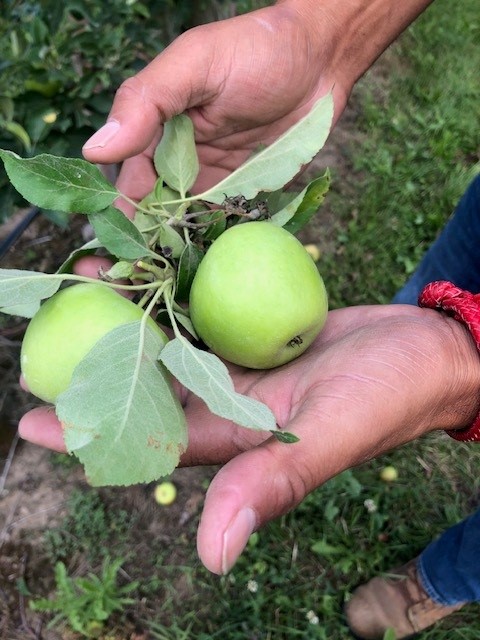 National Rural Health Day: Overcoming Obstacles to Good Health