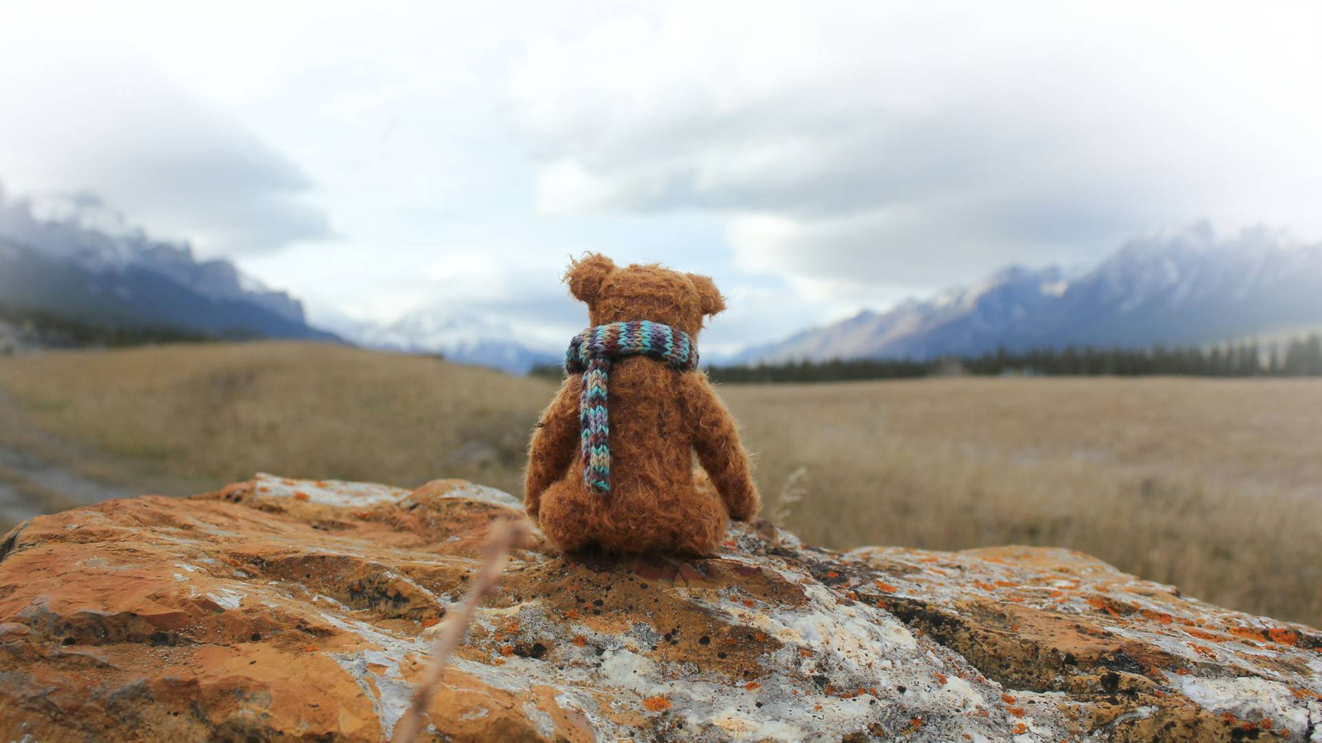 Oak Orchard Health Let's all grow healthier together.